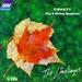 5 String Quartets