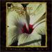 Romantic Classics 1