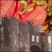 Microcastle [Vinyl]