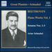 Beethoven: Piano Works Vol. 1-Piano Sonatas Nos. 1-3
