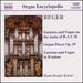 Organ Works 3