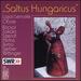Saltus Hungaricus