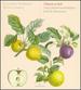 Songs & Instrumental Pieces From the Renaissance