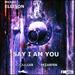 Say I Am You (Mevlana)