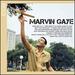 Icon: Marvin Gaye
