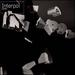 Interpol (Deluxe Edition)