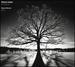 Peteris Vasks: the Seasons