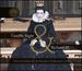 Twelfth Night & Richard III
