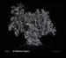 Johann Sebastian Bach: St Matthew Passion