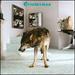 Grinderman 2