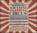 Amazing Sliding Circus