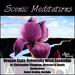 Scenic Meditations
