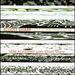Elliott Sharp: Dispersion
