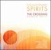 Evolutionary Spirits
