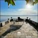 Suite & Concertos