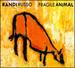 Fragile Animal
