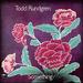 Todd Rundgren-Something / Anything? [2 Lp] (180 Gram Vinyl)