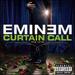 Curtain Call: the Hits [Vinyl]