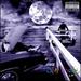 The Slim Shady LP