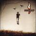 Flyleaf