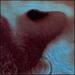 Meddle