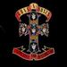 Appetite for Destruction