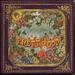 Pretty. Odd.