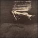 Undercurrent