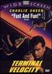 Terminal Velocity