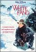White Fang