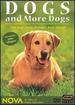 Nova: Dogs and More Dogs
