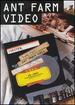 Ant Farm Video