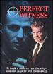 Perfect Witness