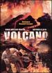 The Volcano Disaster