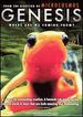 Genesis: Where Are We Coming From?