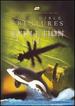 Incredible Creatures That Defy Evolution II