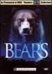 Bears