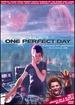 One Perfect Day