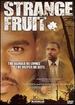 Strange Fruit