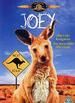 Joey (1998)