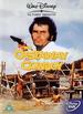 The Castaway Cowboy