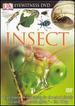 Eyewitness Dvd: Insect (Eyewitness Videos)