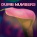 Dumb Numbers