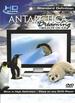 Antarctica Dreaming