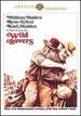 Wild Rovers