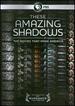 These Amazing Shadows: the Movies That Make America