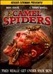 Camel Spiders