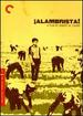 Alambrista! (Criterion Collection)
