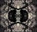 Sonic Mandala Go: Organic Orchestra
