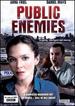 Public Enemies [2 Discs]